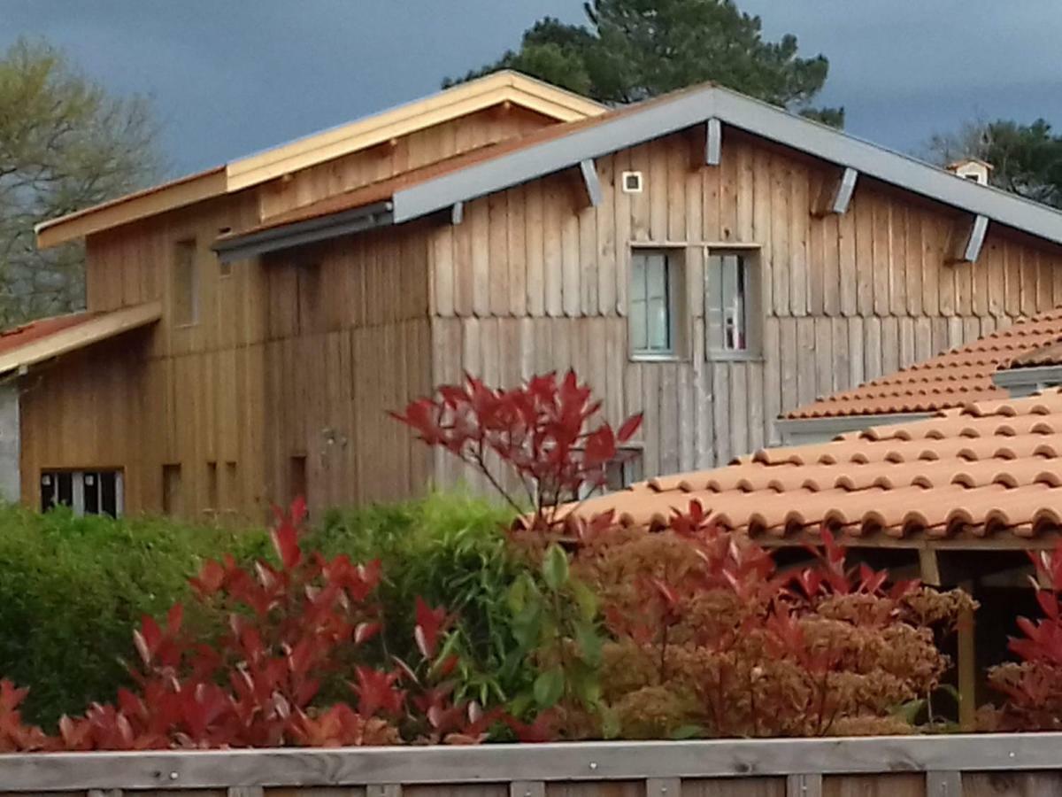 La cabane 26 D Andernos-les-Bains Extérieur photo